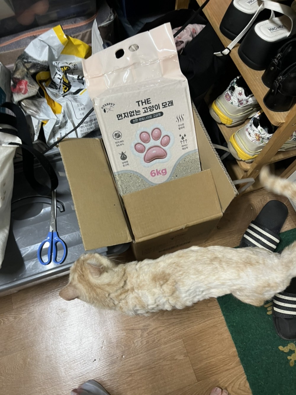 THE 먼지없는 벤토나이트 고양이모래 18kg 구매 후기 이미지